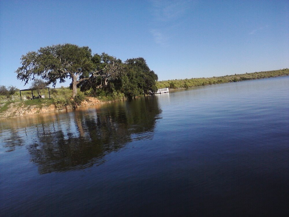 Boerne Lake with a tree hanging over the water