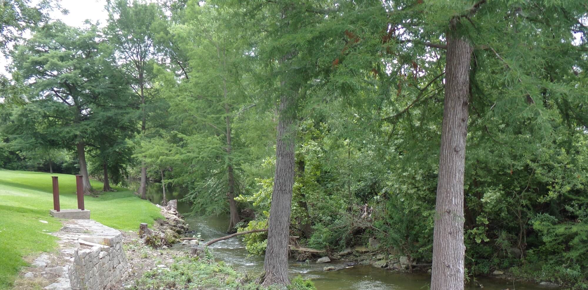 A beautiful trail follows a creek with tall green trees.